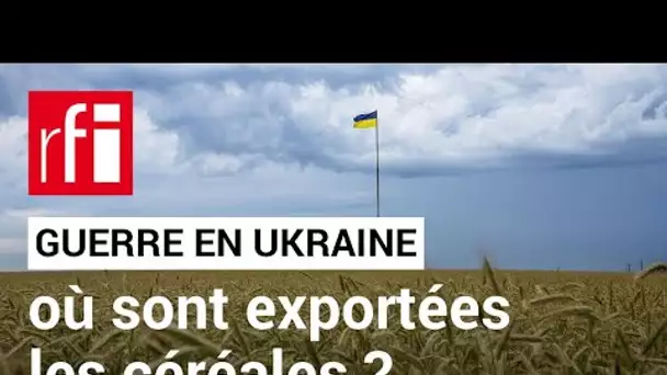 Guerre en Ukraine : où sont exportées les céréales ukrainiennes ? • RFI