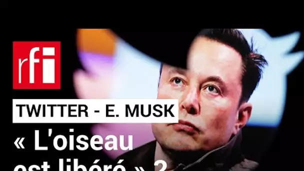 États-Unis : "l'oiseau est libéré" a twitté Elon Musk  après son rachat du réseau social • RFI