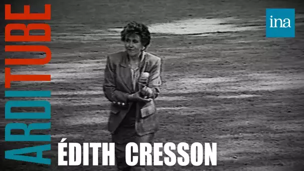 Info / Intox : Des meilleures ventes de cresson depuis qu'Edith est à Matignon ? | INA Arditube