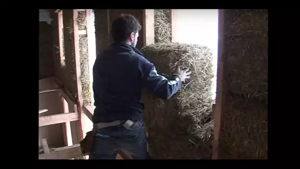 Maisons en paille, des constructions écologiques