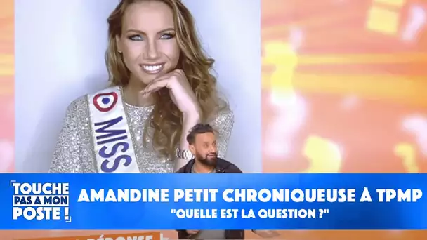 "Quelle est la question ?" : Amandine Petit souhaite devenir chroniqueuse à TPMP !