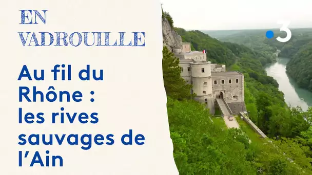 Au fil du Rhône : les rives sauvages de l’Ain