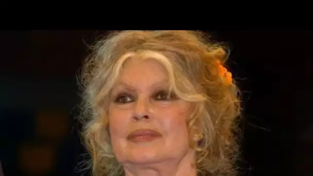 Mort de Michel Piccoli : Brigitte Bardot s’explique après son hommage osé au...