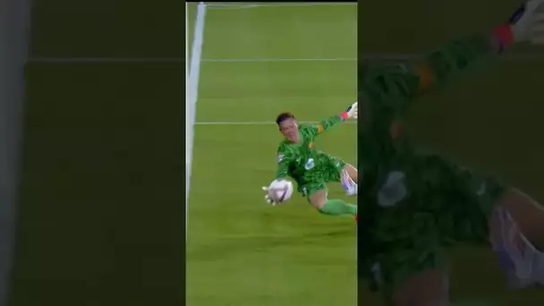TER STEGEN 🥵