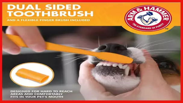 Arm and Hammer Fresh Breath Dental Kit for Pets