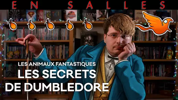 Vlog n°707 - Les Animaux Fantastiques - Les Secrets de Dumbledore