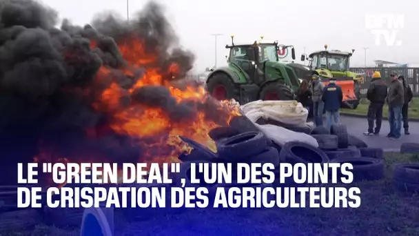 Qu'est-ce que le "Green deal", l'un des points de crispation des agriculteurs en Europe?