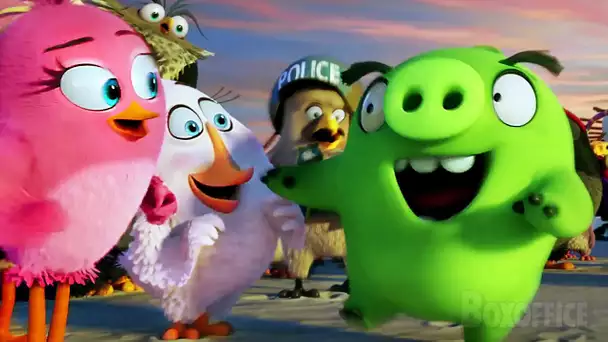 Les cochons disent bonjour aux oiseaux | Angry Birds: Le film | Extrait VF