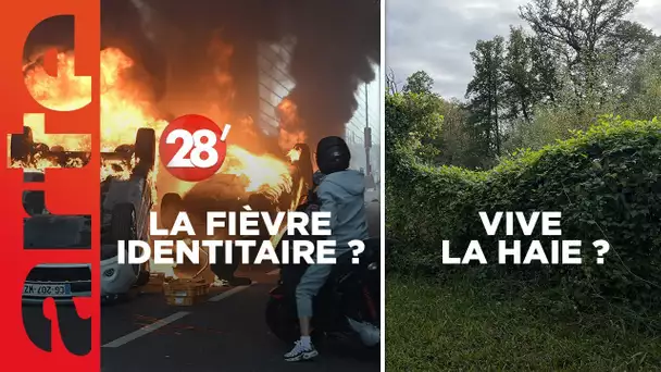 Vive la haie ? / La France fracturée par "La Fièvre" : fiction ou prémonition ? - 28 Minutes - ARTE