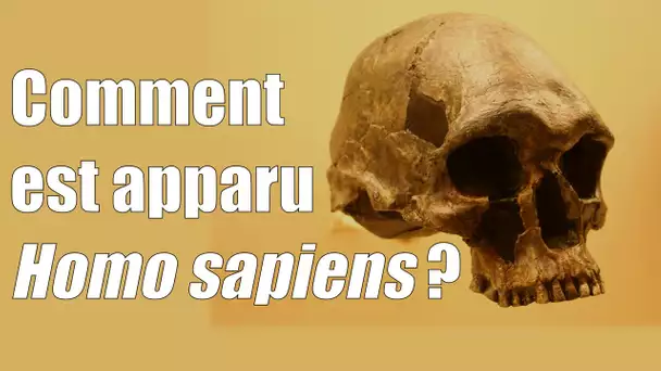 Comment est apparu Homo Sapiens ? — Science étonnante #3