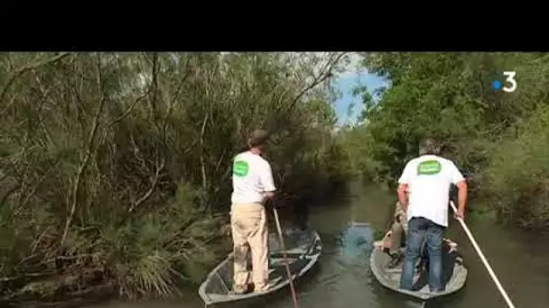 A la découverte d&#039;une Camargue insolite et secrète