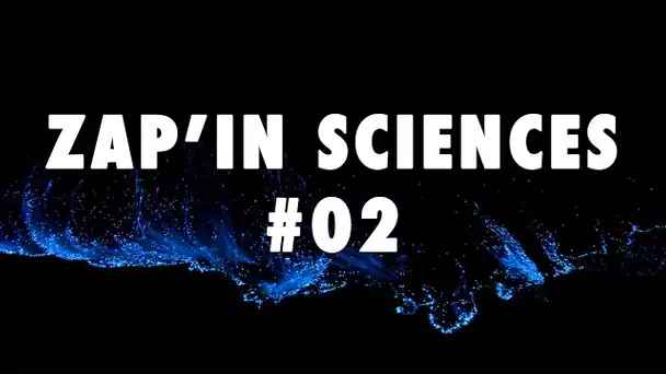 Zap'In Sciences #02 - L'Esprit Sorcier