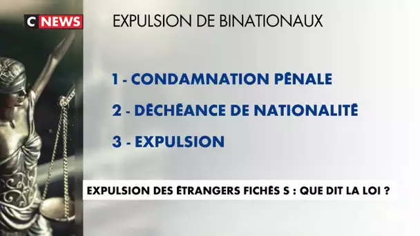 Expulsion des étrangers fichés S : que dit la loi ?