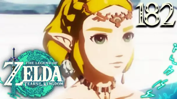 Zelda Tears of the Kingdom #182 : ENFIN ?! LA FIN D'UN GRAND MOMENT POUR LINK !