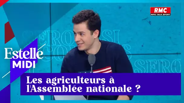 Vincent Seroussi : Pourquoi les agriculteurs souhaitent se rendre à l'Assemblée nationale ?