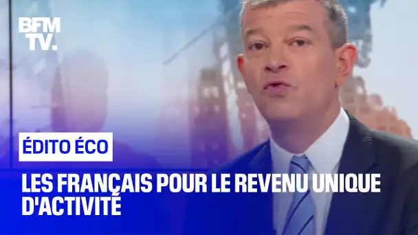 Les Français pour le revenu unique d'activité