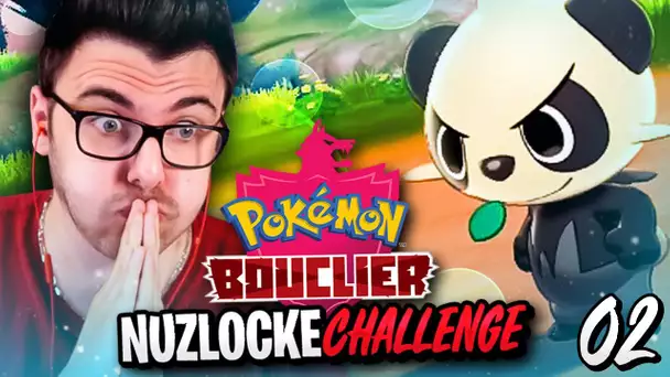 POKEMON BOUCLIER NUZLOCKE #02 : DÉJÀ LA FIN ? AVALANCHE DE MORTS !