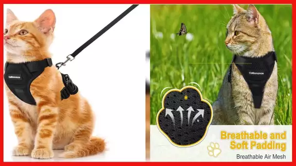CatRomance Cat Harness Escape Proof, Breathable Mesh Cat Walking Harness, Adjustable Cat Harness