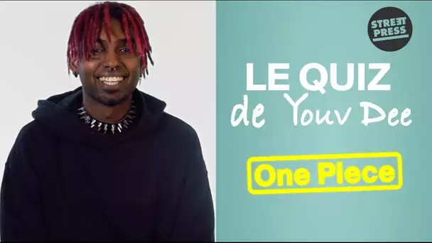 Le quiz de Youv Dee | One Piece