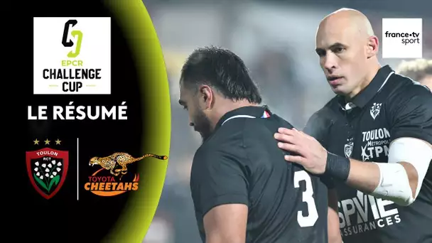 Challenge Cup : Le résumé de RC Toulon - Cheetahs