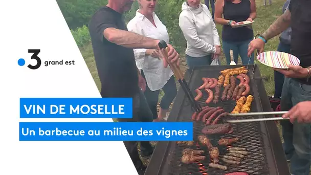 Un pique-nique au milieu des vignes