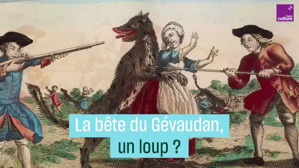 La bête du Gévaudan, un mystère jamais résolu