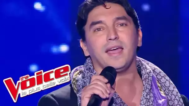 Michael Jackson - Ben | Atef Sedkaoui | The Voice France 2012 | Blind Audition