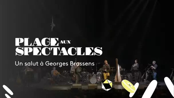 Culture : Un salut à Georges Brassens [extrait La mauvaise réputation]