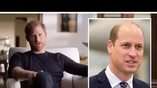 La réconciliation entre Harry et William est "difficile" alors que Duke adresse la plupart des criti