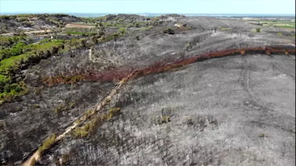Gard : il y a un an, Générac vivait un drame écologique et humain, 800 hectares brûlés et un mort