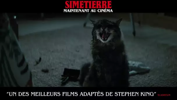 SIMETIERRE - Bumper Testimoniaux [actuellement au cinéma]