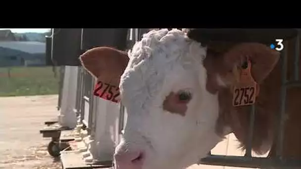 Haute-Marne, à la découverte du Bassigny. Épisode 3 : l'agriculture