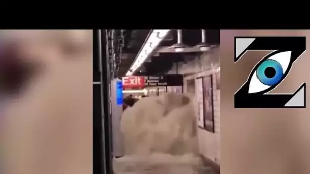 [Zap Net] Le métro de NY sous les eaux ! (02/09/21)