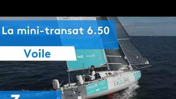 La mini transat 6.50 : une expérience professionnelle