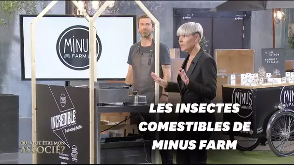 Minus Farm, la ferme urbaine d'insectes comestibles dans "Qui veut être mon associé"