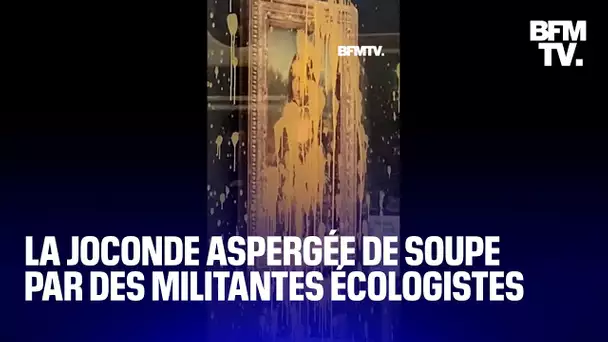 Des militantes écologistes ont aspergé La Joconde de soupe au musée du Louvre
