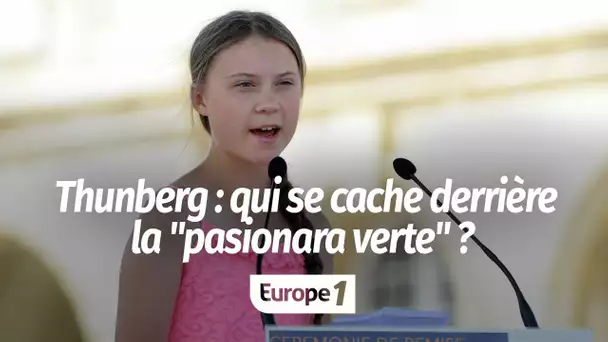 Greta Thunberg devant l'Assemblée nationale :  qui se cache derrière la "pasionaria verte" ?