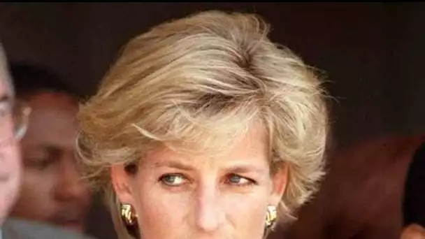 Lady Diana : à quoi ressemble aujourd'hui Hasnat Khan, le chirurgien qu'elle voulait...