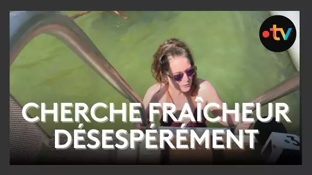Vague de chaleur : Poitiers cherche la fraîcheur alors que 12 départements passent en rouge