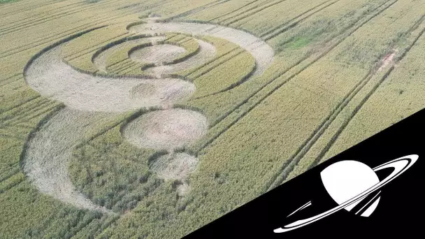 🚀La Vérité sur les Crop Circles 3/3 : les "Spécialistes".