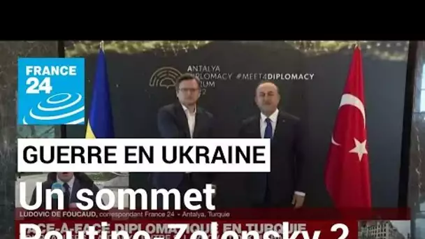 Ukraine : après Antalya, la Turquie espère un sommet Poutine-Zelensky • FRANCE 24