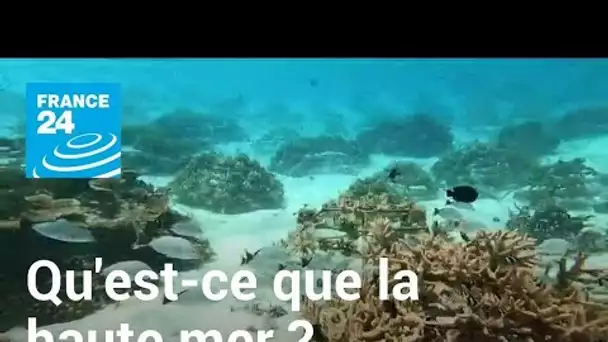 One Ocean Summit : qu'est-ce que la haute mer ? • FRANCE 24