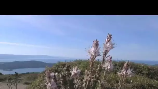 MEDITERRANEO – Le détroit de Bonifacio, entre Corse et Sardaigne, un site très surveillé.