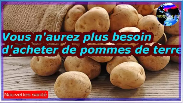 Vous n&#039;aurez plus besoin d&#039;acheter de pommes de terre|Nouvelles24h