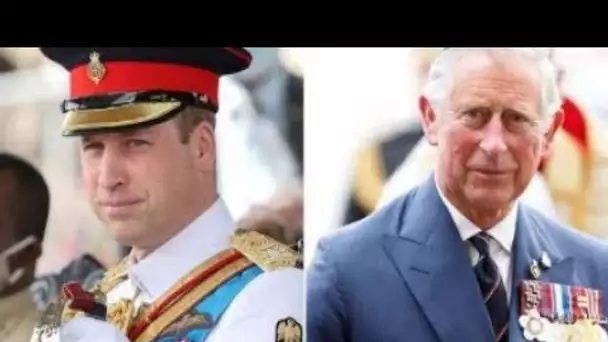 Le prince Harry snobe la famille royale, refusant de dire si son père et son frère lui manquaient
