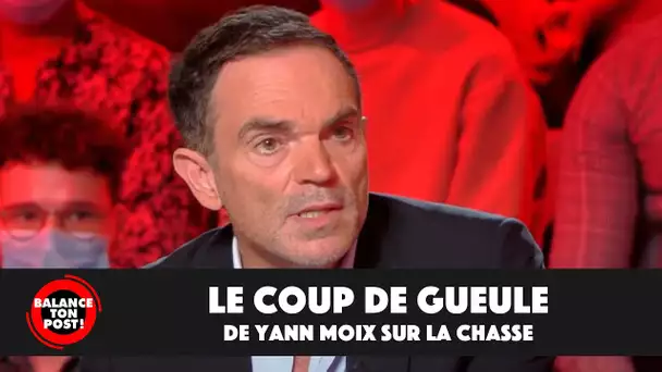 Yann Moix s'exprime sur la chasse : "Les animaux ne sont plus des bêtes, ils ont des droits"