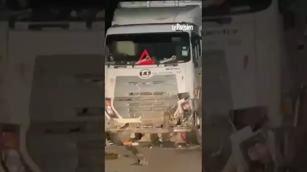 Malaisie : un éléphant refuse de quitter son petit écrasé par un camion
