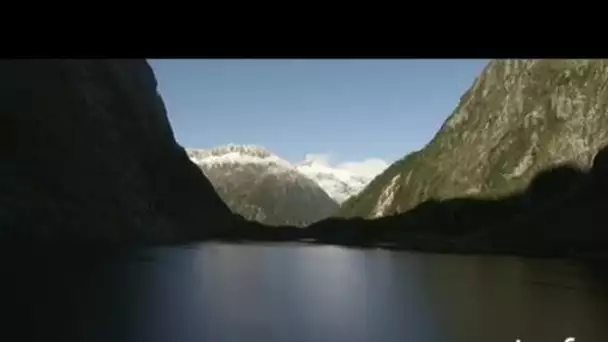 Nouvelle-Zélande, Ile du Sud : canyon et forêt primaire