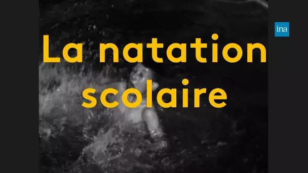 1960-1970, la natation scolaire se démocratise | Franceinfo INA