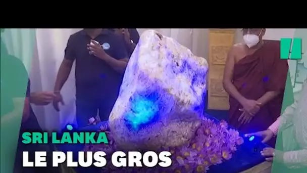 Voici le plus gros Saphir au monde (selon le Sri Lanka)